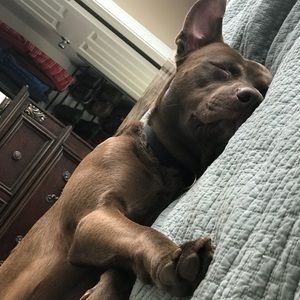 Meet your Posher, Meredith